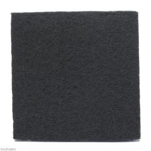 EPIWEB Panels 44×44×2cm エピウェブ パルダリウム テラリウム ビバリウム
