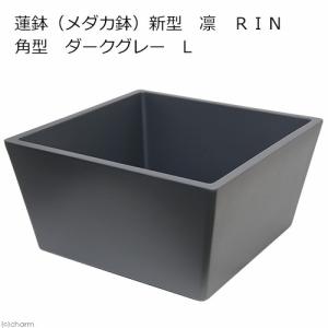 □メーカー直送 睡蓮鉢 新型 凛 RIN 角型 ダークグレー L 睡蓮鉢 金魚鉢 メダカ鉢 同梱不可 沖縄別途送料