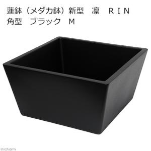 □メーカー直送 睡蓮鉢 新型 凛 RIN 角型 ブラック M 睡蓮鉢 金魚鉢 メダカ鉢 同梱不可 沖縄別途送料