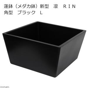 □メーカー直送 睡蓮鉢 新型 凛 RIN 角型 ブラック L 睡蓮鉢 金魚鉢 メダカ鉢 同梱不可 沖縄別途送料