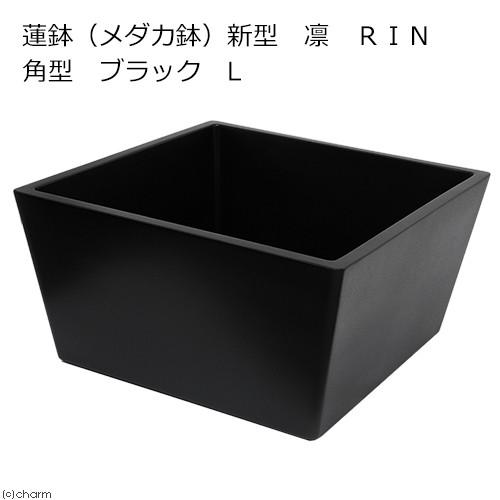 睡蓮鉢　メーカー直送　睡蓮鉢（メダカ鉢）　新型　凛　ＲＩＮ　角型　ブラック　Ｌ　睡蓮鉢・金魚鉢・メダ...