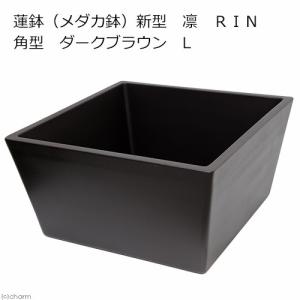 Leaf Corp 睡蓮鉢 メーカー直送 睡蓮鉢（メダカ鉢） 新型 凛 RIN 角