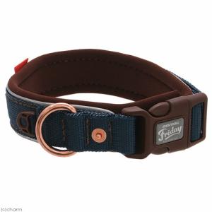 トレッドミルホイール大（約35cm）』 : SBSコーポレーション - 通販