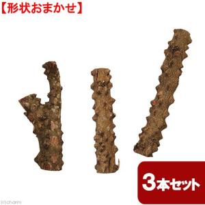 NEIGHBORHOOD（ネイバーフッド） 23SS BONE PALO SANTO HOLDER 231AINH