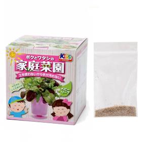 アウトレット品　うさちゃん喜ぶ！　チモシー水耕栽培セット　種子付き　容器色おまかせ　家庭菜園　訳あり