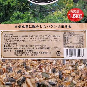 荒為商店 中型鳥用バードフード 1.6kgの詳細画像1