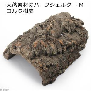 形状お任せ　天然素材のハーフシェルター　Ｍ　コルク樹皮　トカゲ　ヤモリ