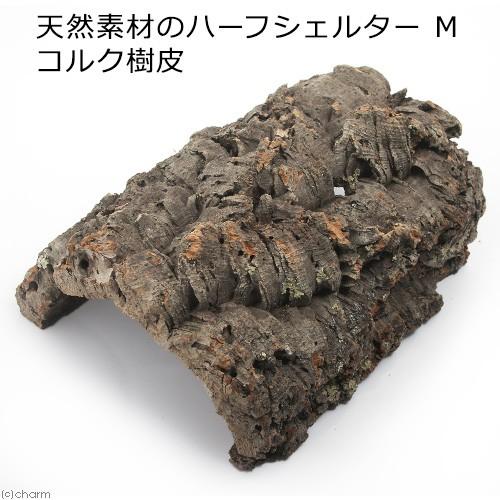 形状お任せ 天然素材のハーフシェルター　Ｍ　コルク樹皮　トカゲ　ヤモリ