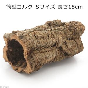 形状おまかせ 筒型コルク　Ｓサイズ　長さ１５ｃｍ　蘭　エアプランツ　着生植物　爬虫類