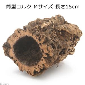 形状お任せ　筒型コルク　Ｍサイズ　長さ１５ｃｍ　蘭　エアプランツ　着生植物　爬虫類