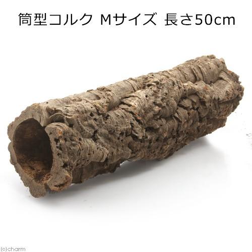 形状お任せ　筒型コルク　Ｍサイズ　長さ５０ｃｍ　蘭　エアプランツ　着生植物　爬虫類