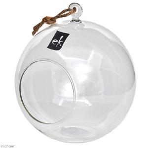 ハンギングガラスボール L エアープランツ コケ