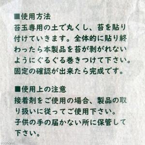 JUN 苔玉専用糸 苔 テラリウムの詳細画像1