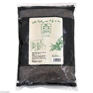 チャーム（charm） 一点物 碧海石 親石 大型水槽用 857689