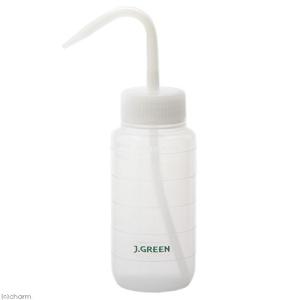 ＪＵＮ　Ｊ．ＧＲＥＥＮ　水差しボトル　２５０ｍｌ