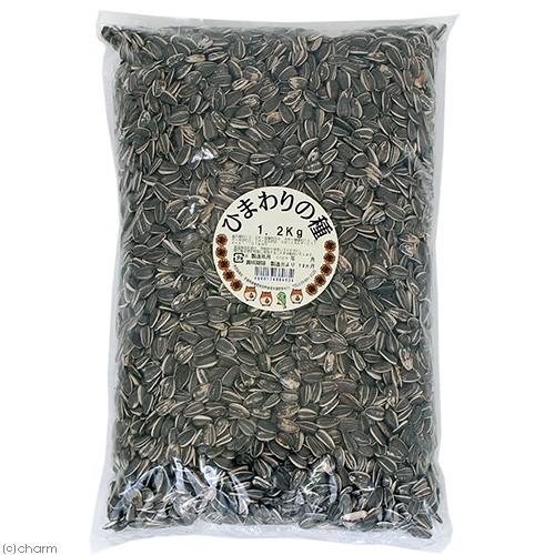 荒為商店　ひまわりの種　１．２ｋｇ