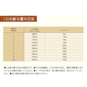 ニュートロ 猫 キャット ワイルド レシピ 成...の詳細画像2