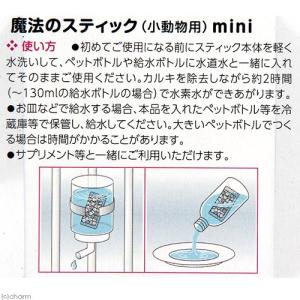 B-blast 魔法のスティック 小動物用 miniの詳細画像1
