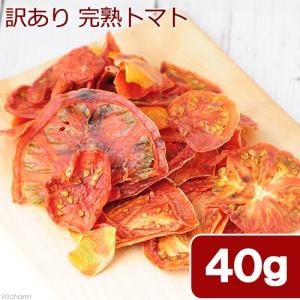 国産 訳あり完熟トマト 40g 小動物のおやつ...の詳細画像1