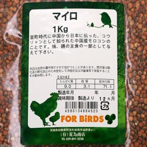 荒為商店 マイロ 1kgの詳細画像1