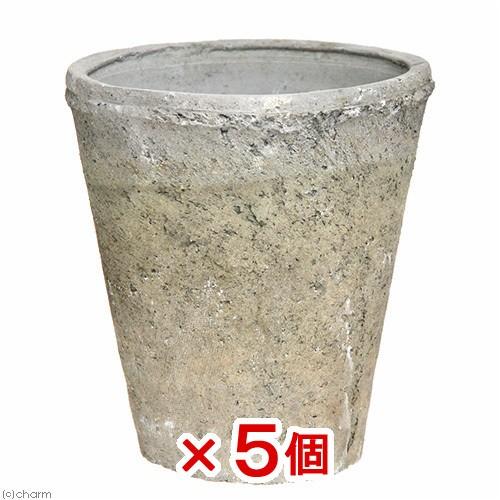 アンティークポット　直径１０×１１．５ｃｍ　黒　５個　モスポット　トール　多肉植物　コーデックス　ア...