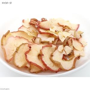 GEX パリパリりんご お徳用 20g 小動物...の詳細画像2