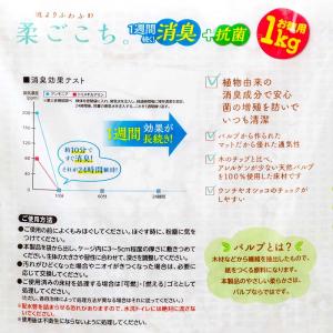 GEX ハビんぐ 柔ごこち。 1kg ハムスタ...の詳細画像1