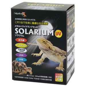 □ペットペットゾーン ソラリウム 50W ランプ 交換球 ソケットセット 爬虫類 ライト 紫外線 沖縄別途送料