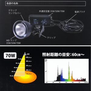 ペットペットゾーン ソラリウム 70W ランプ...の詳細画像3