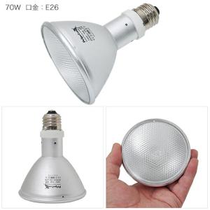 ペットペットゾーン ソラリウム 70W 交換球...の詳細画像1