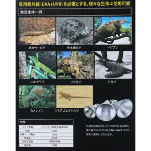 ペットペットゾーン ソラリウム 70W 交換球...の詳細画像3