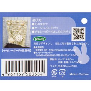 川井 ハングトイ パパイヤの茎ボールの詳細画像1