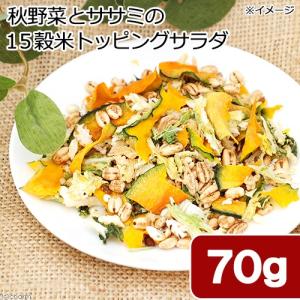 国産　秋野菜とササミの１５穀米トッピングサラダ　７０ｇ　犬用副菜　ＰａｃｋｕｎｘＣＯＣＯＡ　フルーツ＆ベジ｜chanet