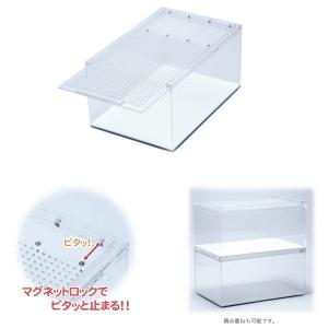 ヒョウモントカゲモドキ飼育入門セット ペットシ...の詳細画像1