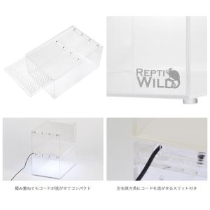ヒョウモントカゲモドキ飼育入門セット ペットシ...の詳細画像2
