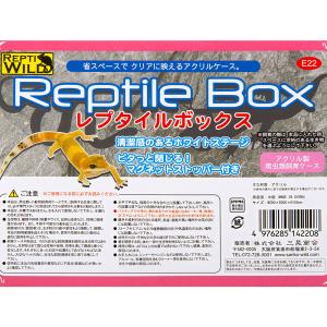 ヒョウモントカゲモドキ飼育入門セット ペットシ...の詳細画像3