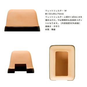 ヒョウモントカゲモドキ飼育入門セット ペットシ...の詳細画像4