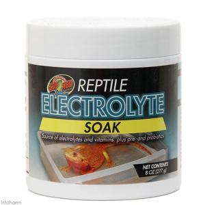 ZOOMED エレクトロライトソーク 277g