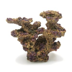 ライブロックレプリカ　フラグサンゴ対応　中古品 2025年最新】Yahoo!オークション -ライブロック(サンゴ)の中古品