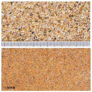 ネグロナチュラルサンド 2.5kg 底砂 底床...の詳細画像1