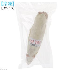 冷凍★アダルトＬ　Ｒａｔ１８０　１匹パック　約１９０ｇ　別途クール手数料　常温商品同梱不可　冷凍ラット　爬虫類　猛禽類｜chanet