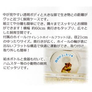 三晃商会 ルーミィ60 グランスペース クリア...の詳細画像4