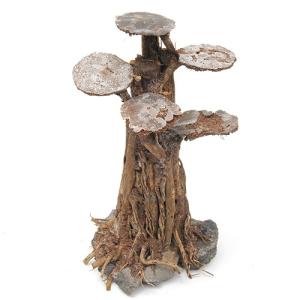 流木 盆栽流木 カミハタ 水景BONSAI 榕樹(ガジュマル) 活着 水槽 カミハタ 水景BONSAI 榕樹（ガジュマル） Lサイズ 流木 活着