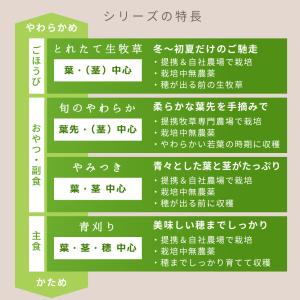 令和8年産 国産牧草 旬のやわらかイタリアンラ...の詳細画像4