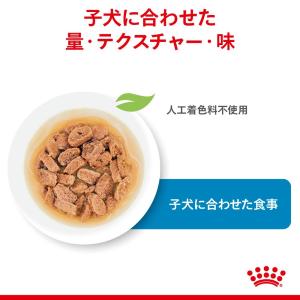 ロイヤルカナン 小型犬の子犬用 ミニ パピー ...の詳細画像3