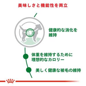 ロイヤルカナン 小型犬の成犬用 ミニ アダルト...の詳細画像4