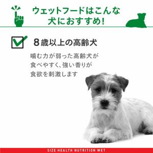 ロイヤルカナン 小型犬の高齢犬用 ミニ エイジ...の詳細画像2