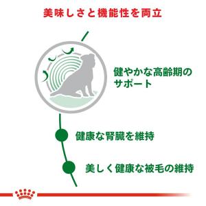 ロイヤルカナン 小型犬の高齢犬用 ミニ エイジ...の詳細画像4