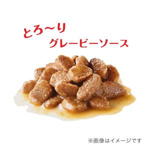 ロイヤルカナン 小型犬の高齢犬用 ミニ エイジ...の詳細画像5