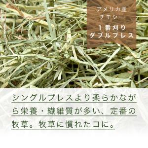 アメリカ産チモシー 一番刈 ダブルプレス チャ...の詳細画像1